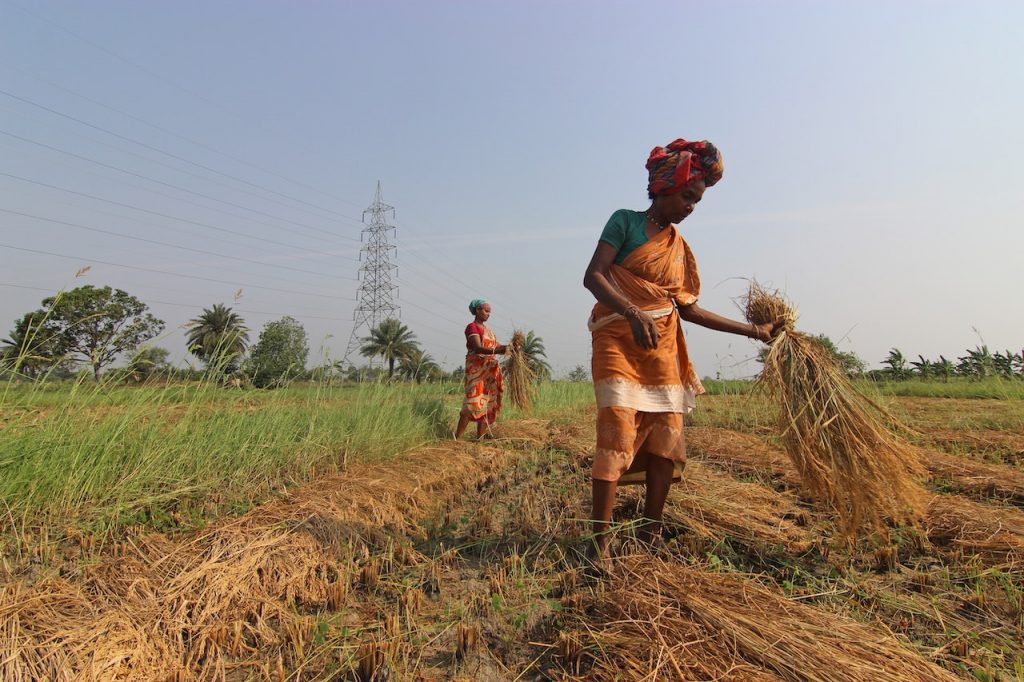 kisan-vikas-patra

